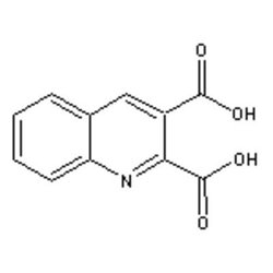 Accela Chembio Inc 2 | 3-quinolinedicarboxylic Acid | 100g | 643-38-9 |
