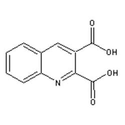 Accela Chembio Inc 2 | 3-quinolinedicarboxylic Acid | 25g | 643-38-9 |