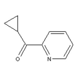 Accela Chembio Inc Cyclopropyl(2-pyridyl)methanone | 1g | 57276-28-5 |