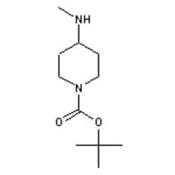 Accela Chembio Inc 1-boc-4-(methylamino)piperidine | 25g | 147539-41-1
