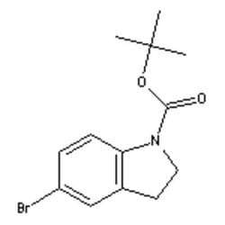 Accela Chembio Inc N-boc-5-bromoindoline | 5g | 261732-38-1 | MFCD08059280
