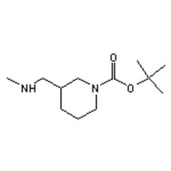 Accela Chembio Inc 1-boc-3-[(methylamino)methyl]piperidine | 1g | 1017356-25-0