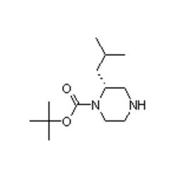 Accela Chembio Inc (r)-1-boc-2-isobutylpiperazine | 1g | 1217599-13-7 |