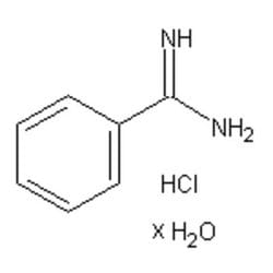 Accela Chembio Inc Benzamidine Hydrochloride Hydrate | 100g | 206752-36-5