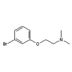 Accela Chembio Inc 2-(3-bromophenoxy)-n | n-dimethylethanamine | 5g | 221915-84-0