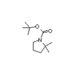 Accela Chembio Inc 1-boc-2 | 2-dimethylpyrrolidine | 5g | 869527-80-0 |