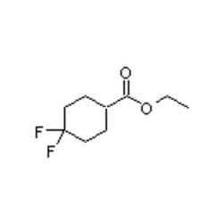 Accela Chembio Inc Ethyl 4 | 4-difluorocyclohexanecarboxylate | 25g | 178312-47-5