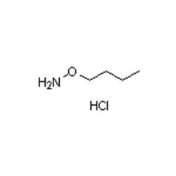 Accela Chembio Inc O-butylhydroxylamine Hydrochloride | 1g | 4490-82-8