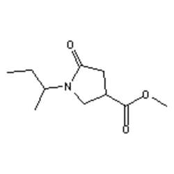 Accela Chembio Inc Methyl 1-sec-butyl-5-oxopyrrolidine-3-carboxylate |