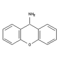 Accela Chembio Inc 9h-xanthen-9-amine | 1g | 35598-63-1 | MFCD05022417