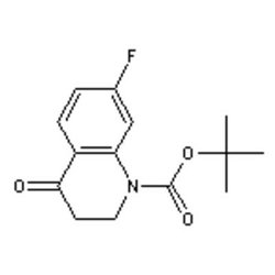 Accela Chembio Inc N-boc-7-fluoro-3 | 4-dihydroquinoline-4(2h)-one | 5g