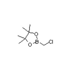 Accela Chembio Inc (chloromethyl)boronic Acid Pinacol Ester | 5g | 83622-42-8