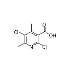 Accela Chembio Inc 2 | 5-dichloro-4 | 6-dimethylnicotinic Acid | 5g | 142266-66-8