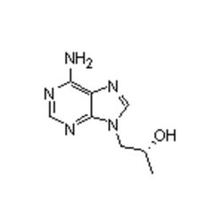Accela Chembio Inc (r)-9-(2-hydroxypropyl)adenine | 25g | 14047-28-0 |