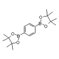 Accela Chembio Inc&nbsp;1 | 4-BENZENEDIBORONIC ACID BIS(PINACOL) ESTER |  5G |  99770-93-1 |  MFCD08276852 |  97% |  RETEST PERIOD: 540DAYS |  LIGHT SENSITIVE/NITROGEN OR ARGON/+4 C
