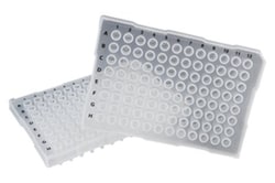 Biotang Inc&nbsp;96-well PCR plate,Semiskirt, Natural. 100/case.For use with Applied Biosystems thermal cyclers and DNA analyzers. Skirt allows robotic handling and sample labeling.Real-time PCR compatible. Dnase, Rnase, Human DNA, Pyrogen, PCR Inhibitors Free