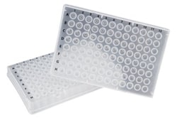 Biotang Inc&nbsp;96-wellPCR plate, Skirt Natural.100/case. For use with Eppendorf, Biorad, MJ thermal cyclers and DNA analyzers. Skirt allows robotic handling and sample labeling.Real-time PCR compatible. Dnase, Rnase, Human DNA, Pyrogen, PCR Inhibitors Free
