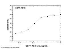 Sino Biological EGFR / HER1 / ErbB1 Neutralizing Antibody, Quantity: Each