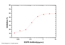 Sino Biological EGFR / HER1 / ErbB1 Neutralizing Antibody, Quantity: Each
