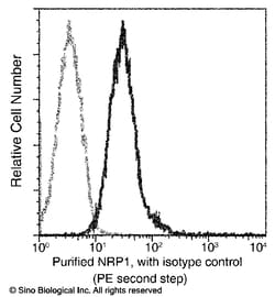 Sino Biological Neuropilin-1 / NRP1 / CD304 Antibody (APC), Mouse MAb 25Tests,
