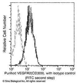 Sino Biological Anti-VEGFR2/KDR Antibody (PE), Mouse Monoclonal, Quantity: