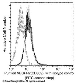 Sino Biological Anti-VEGFR2/KDR Antibody (APC), Mouse Monoclonal, Quantity: