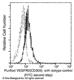 Sino Biological Recombinant Anti-VEGFR2/KDR Antibody (APC), Rabbit Monoclonal,