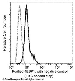 Sino Biological Anti-4EBP1 Antibody (PE), Mouse Monoclonal, Quantity: Each