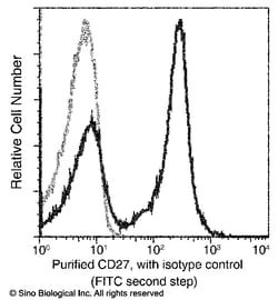 Sino Biological Recombinant Anti-CD27/TNFRSF7 Antibody (APC), Rabbit Monoclonal,