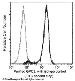 Sino Biological Glypican 3 / GPC3 / OCI-5 Antibody (APC), Rabbit MAb 100Tests,
