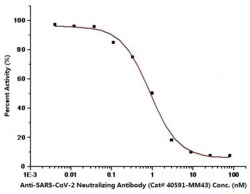 Sino Biological SARS-CoV-2 (2019-nCoV) Spike Neutralizing Antibody, Mouse