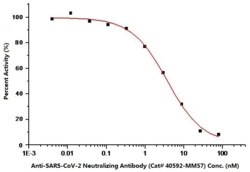 Sino Biological SARS-CoV-2 (2019-nCoV) Spike Neutralizing Antibody, Mouse