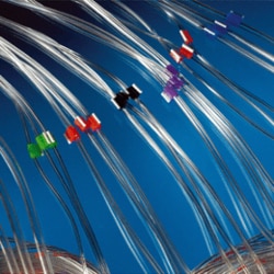 Analytical West&nbsp;PVC 2-Stop Flared Tubing, Orange/Orange (0.89mm) 12/pk