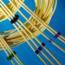 Analytical West Santoprene 3-Stop Tubing, Yellow-Blue-Yellow, (1.52mm),