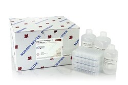 Norgen Biotek Corp Total RNA Purification 96-Well Kit, Quantity: Each of
