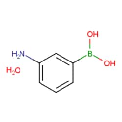 Aobchem 3-Aminophenylboronic acid monohydrate, AOBCHEM USA 10006-25G. 206658-89-1.