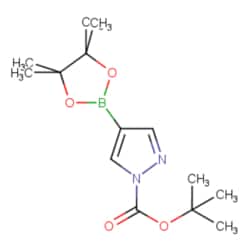 Aobchem&nbsp;N-Boc-pyrazole-4-boronic acid pinacol ester, AOBCHEM USA 16882-25G. 552846-17-0. MFCD05663873