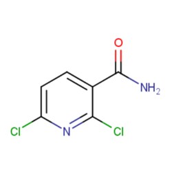Aobchem 2, 6-Dichloropyridine-3-carboxamide, AOBCHEM USA 25994-5G. 62068-78-4.