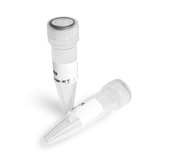 Selleck Chemical LLC Ipilimumab (anti-CTLA-4) 1mg 477202-00-9 MDX-010,
