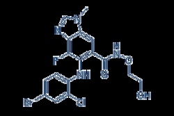 Selleck Chemical LLC Selumetinib (AZD6244) 50mg 606143-52-6 ARRY-142886,