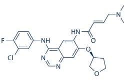 Selleck Chemical LLC Afatinib (BIBW2992) 10mM/1mL 850140-72-6, Quantity: