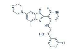 Selleck Chemical LLC BMS-536924 5mg 468740-43-4 CS-0117, Quantity: Each