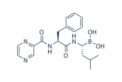 Selleck Chemical LLC Bortezomib (PS-341) 5mg 179324-69-7 LDP-341, MLM341,