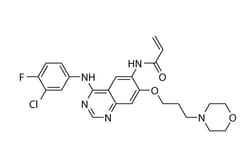 Selleck Chemical LLC Canertinib (CI-1033) 10mg 267243-28-7 PD183805, Quantity: