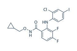 Selleck Chemical LLC PD184352 (CI-1040) 5mg 212631-79-3, Quantity: Each