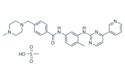 Selleck Chemical LLC Imatinib (STI571) Mesylate 100mg 220127-57-1 Gleevec,