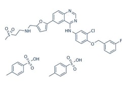 Selleck Chemical LLC Lapatinib (GW-572016) Ditosylate 25mg 388082-77-7,