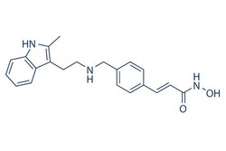 Selleck Chemical LLC Panobinostat (LBH589) 10mg 404950-80-7 NVP-LBH589,