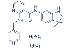 Selleck Chemical LLC Motesanib Diphosphate (AMG-706) 10mg 857876-30-3,