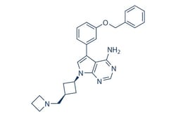 Selleck Chemical LLC NVP-AEW541 5mg 475489-16-8 AEW541, Quantity: Each